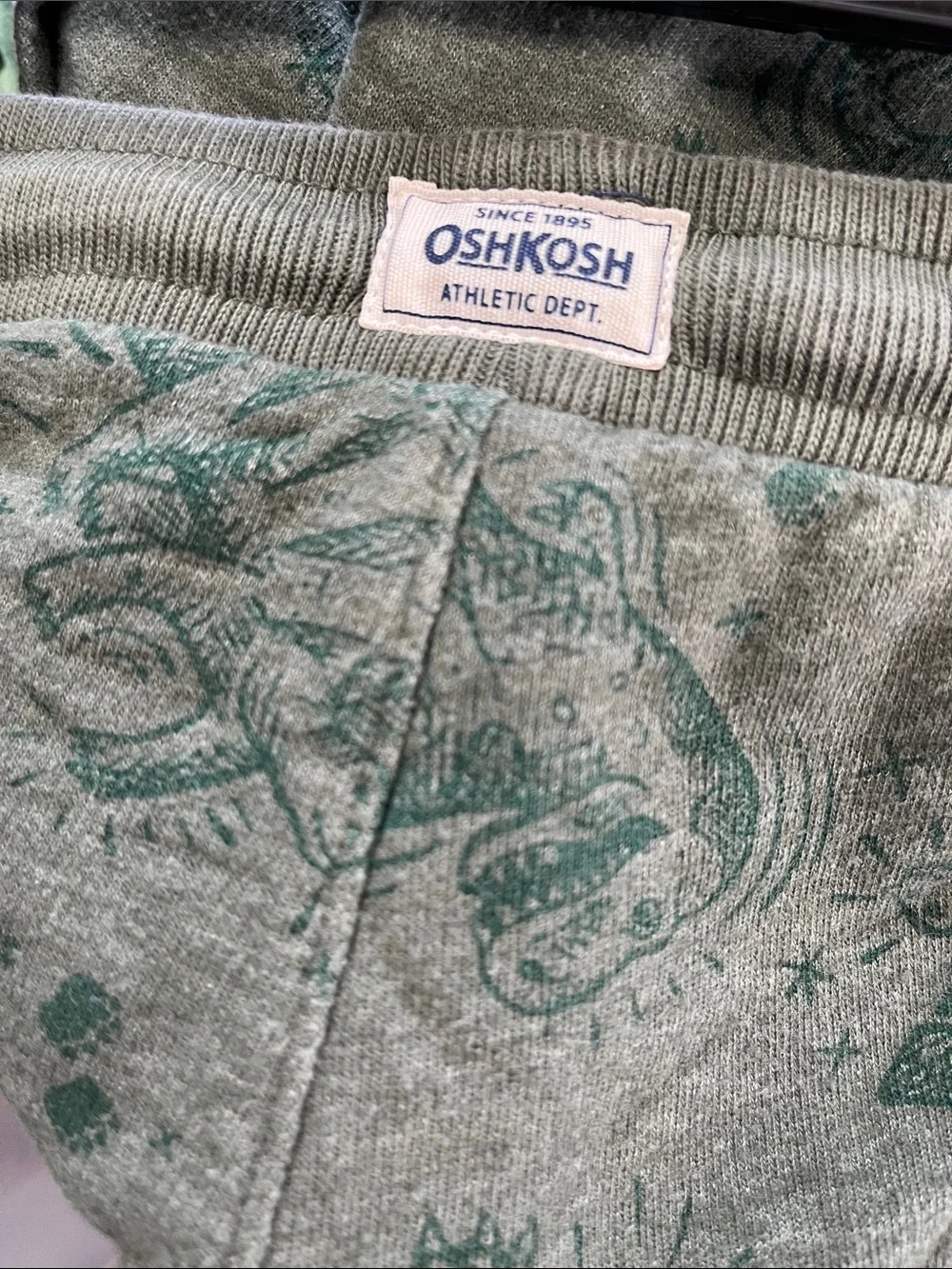 OshKosh B'gosh Green Heather Dino Print Hooded Sweatshirt & Jogger Set
